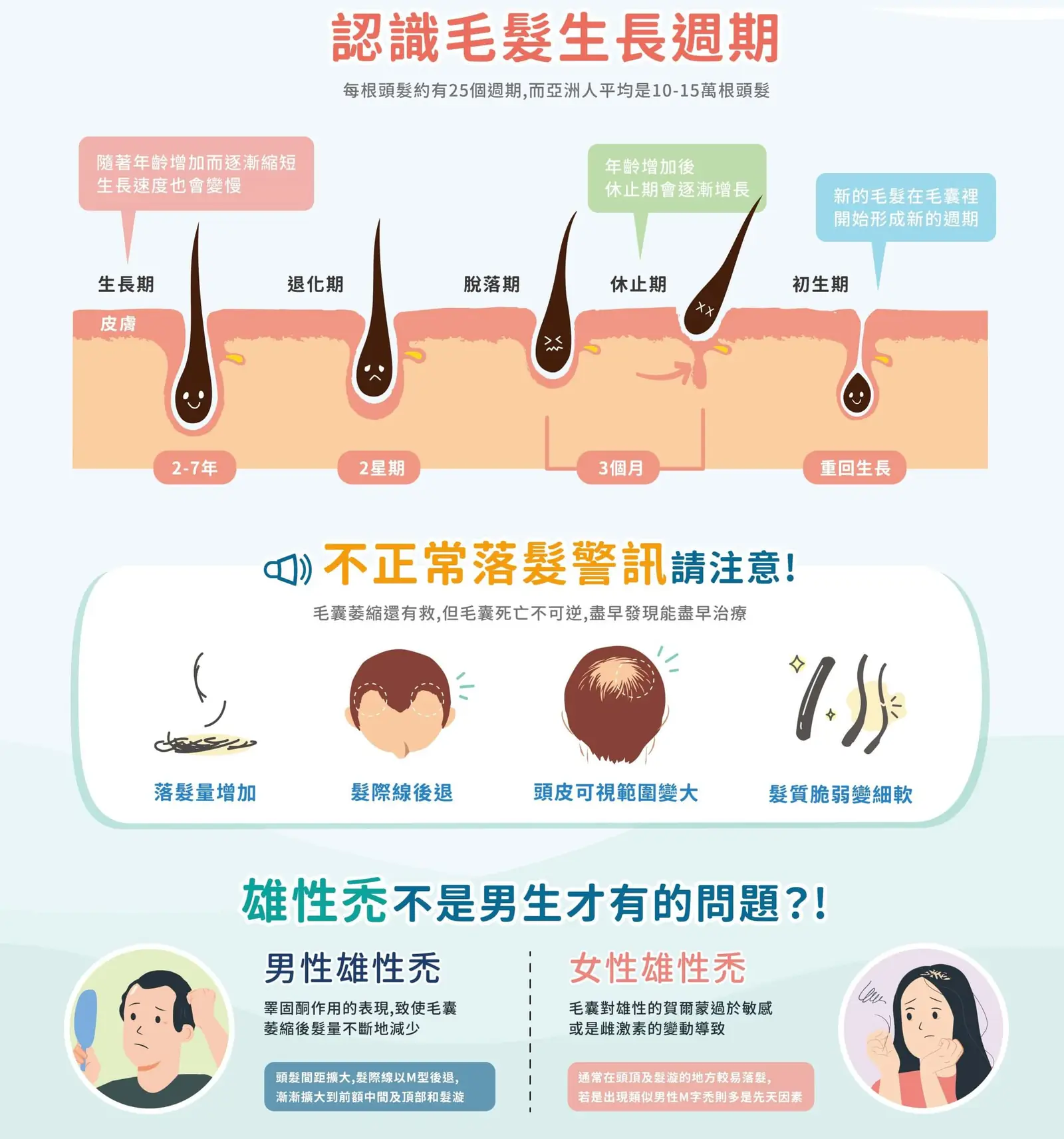 自體微移植育髮