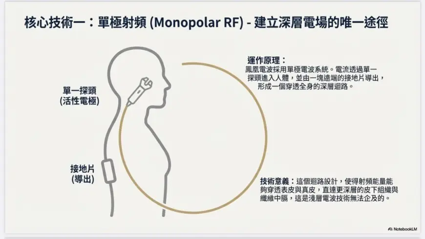 揭秘鳳凰電波緊膚：5 個你可能不知道的射頻輕齡科學真相