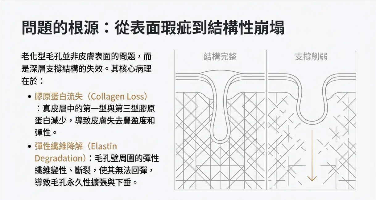 別再猛擦保養品了：從臨床觀點解析「老化毛孔」的 5 個醫學真相