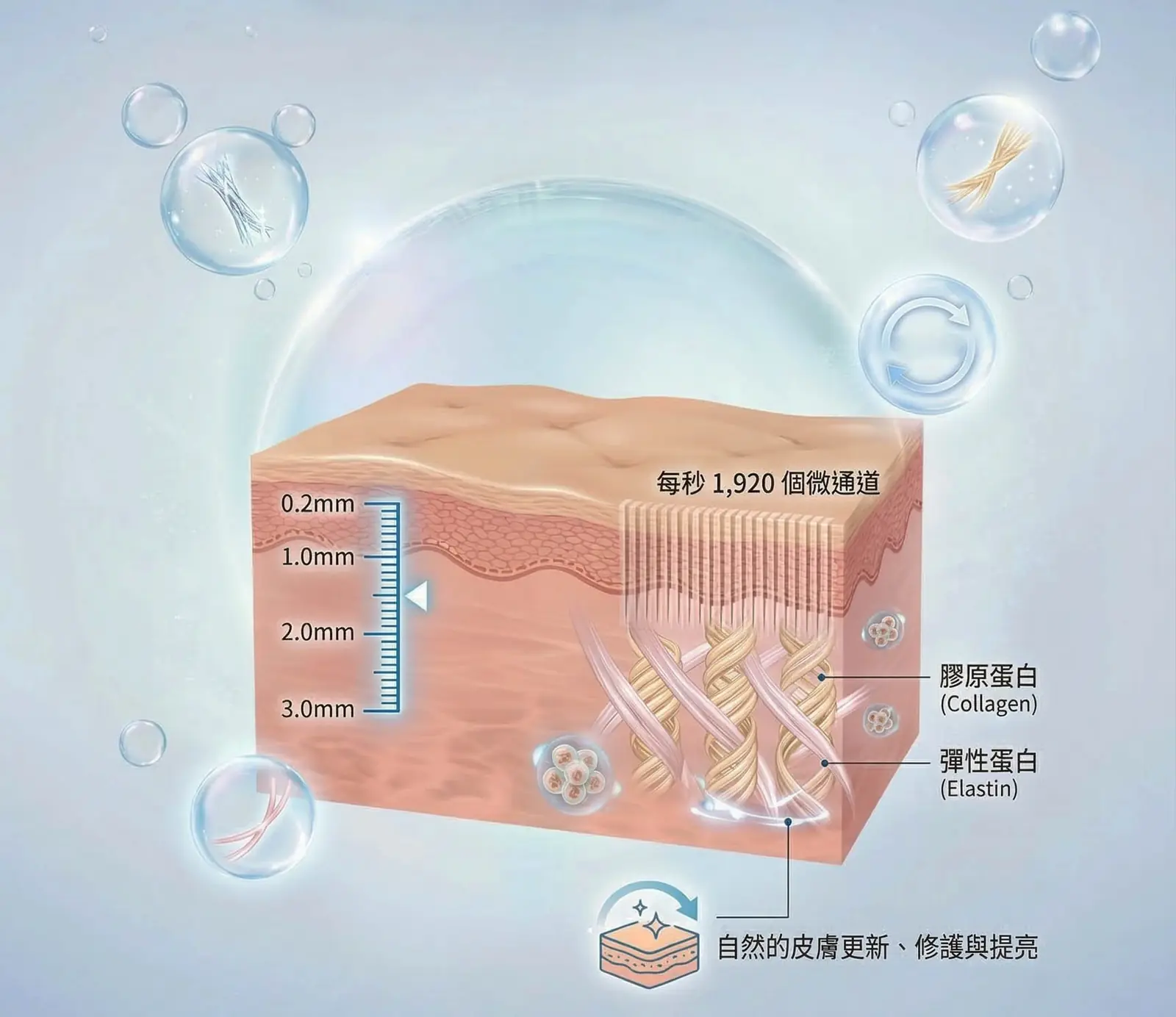 Dermapen 得美微針筆